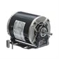 # B303 - 1/4 HP, 115 Volt
