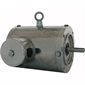 # MS683CR - 3/4 HP, 208-230/460 VOLT, IP69K